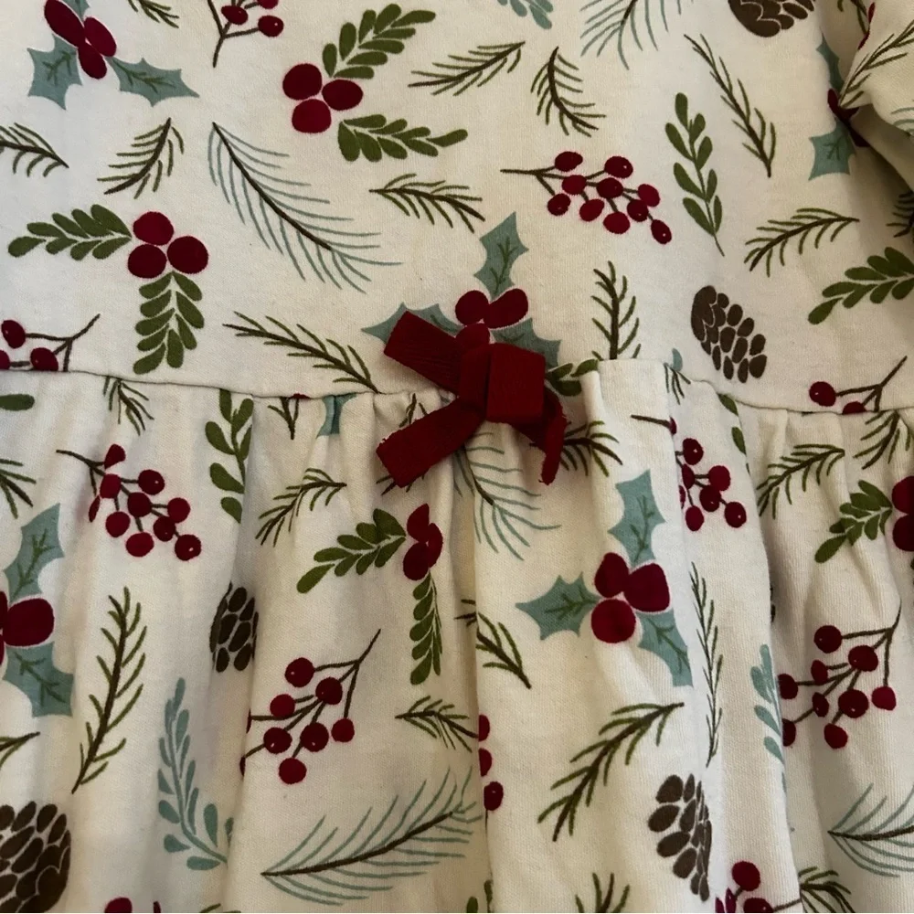 TOUCHED BY NATURE Organic Cotton Dress in Festive Winterberry & Pinecones Print